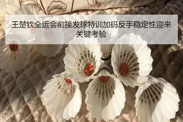 王楚钦全运会前接发球特训加码反手稳定性迎来关键考验